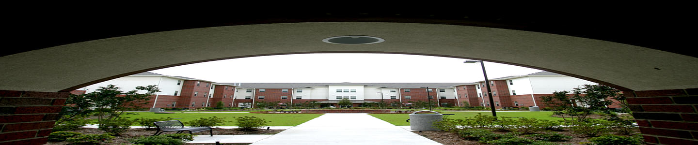Nicholls State University banner